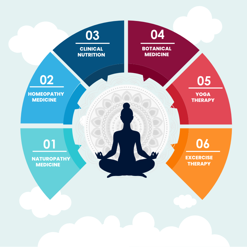 Integrative Wellness Wheel